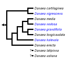 taxon links